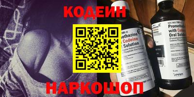 индика Дубна